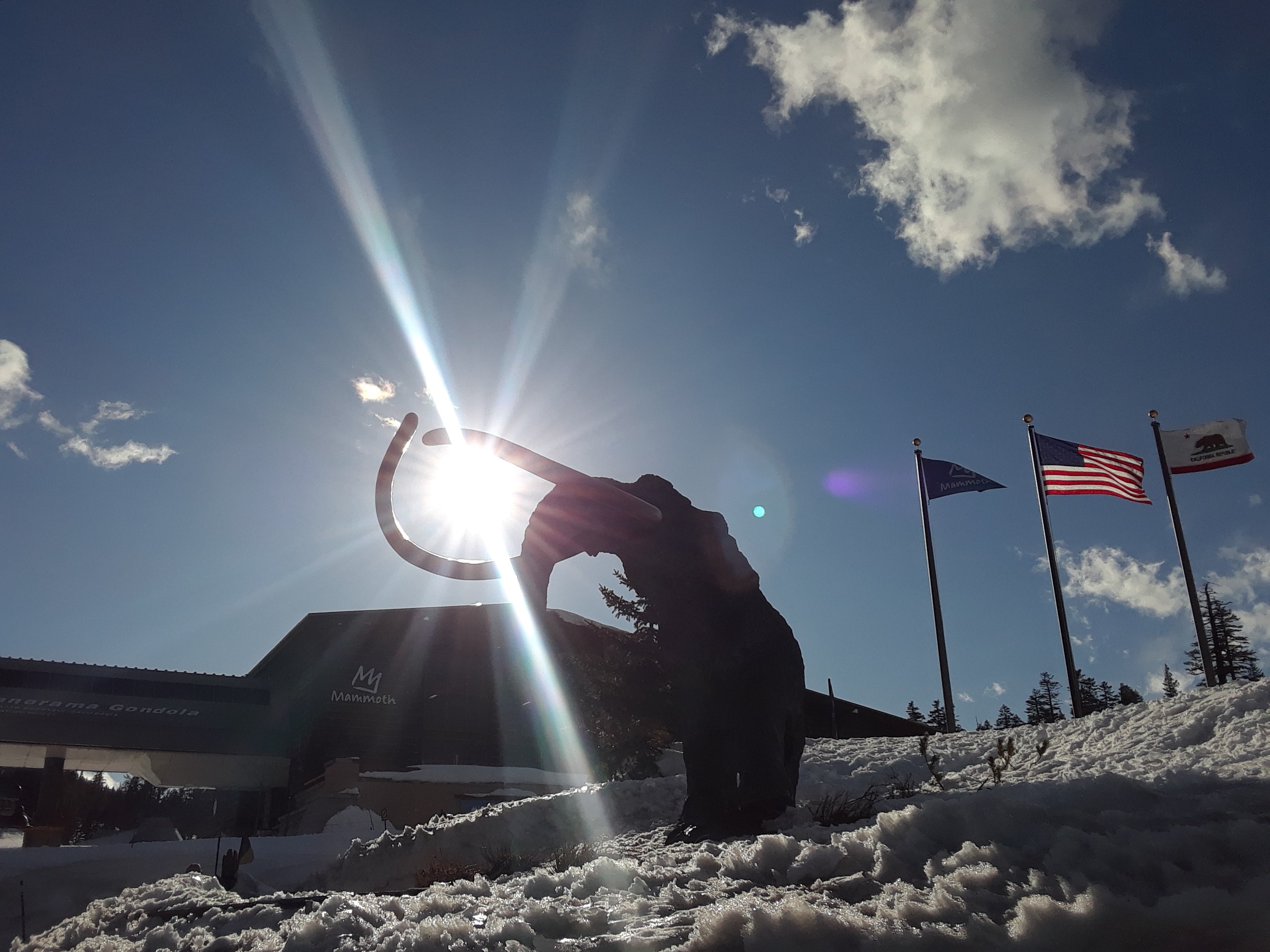 Wooly Mammoth at Mammoth